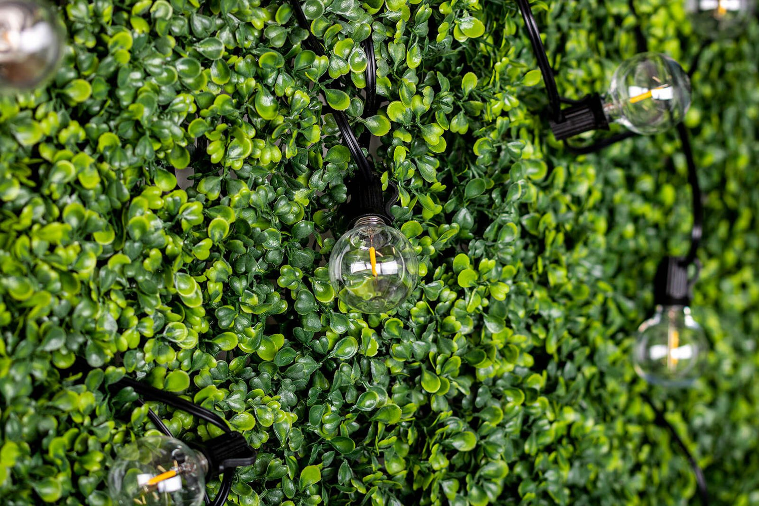 Buitenlichtsnoer 15,2m – 30x LED Ballen 3000K met Afstandsbediening