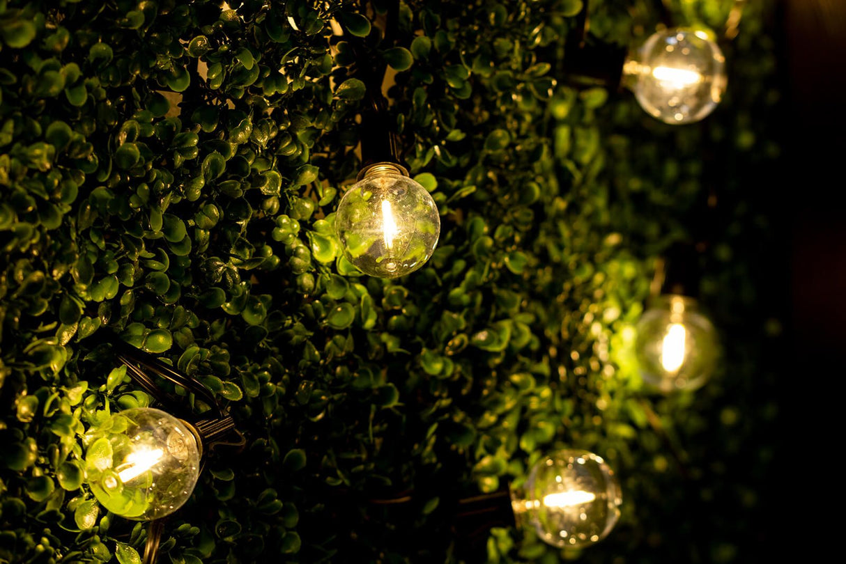Buitenlichtsnoer 15,2m – 30x LED Ballen 3000K met Afstandsbediening