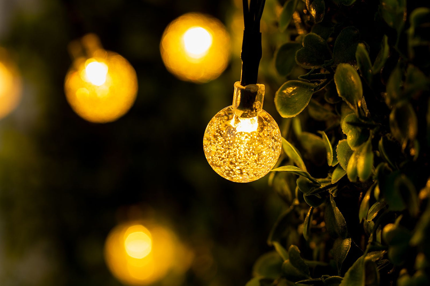 Tuinslinger – 100x LED Bollen – 21,8m – Warm Wit 3000K – Decoratief & Weerbestendig